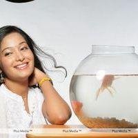 Preetika Rao - Priyudu Movie Stills | Picture 123073